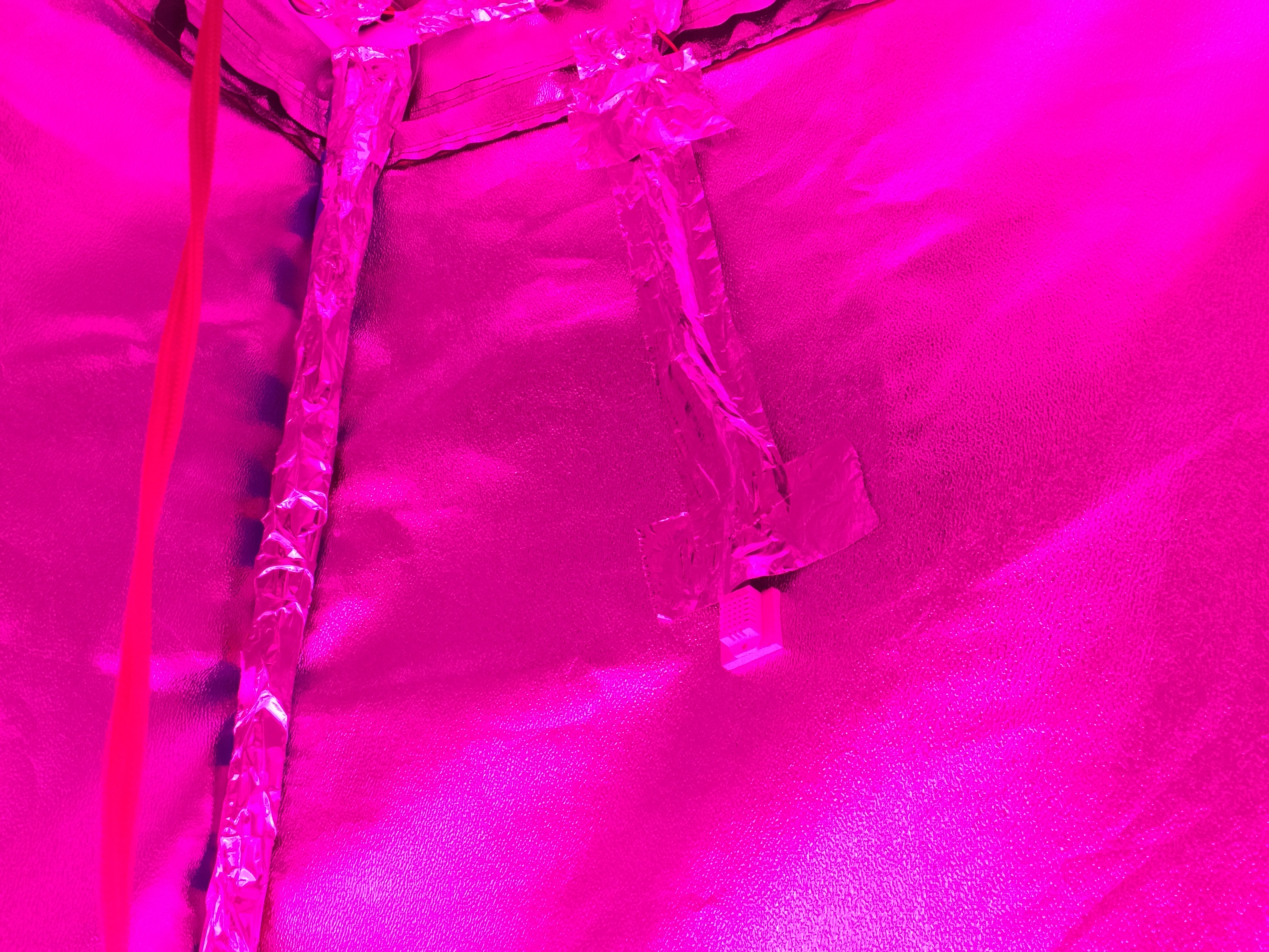 More wire management on right side of tent